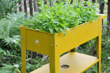 Trolley Urban Garden Trolley Urban Garden