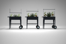 Trolley Urban Garden Trolley Urban Garden