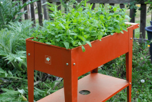 Trolley Urban Garden Trolley Urban Garden