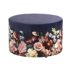 Hocker Anneclaire