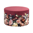Hocker Anneclaire