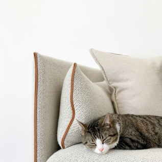 Schlafende Katze auf beigem Freistil Sofa